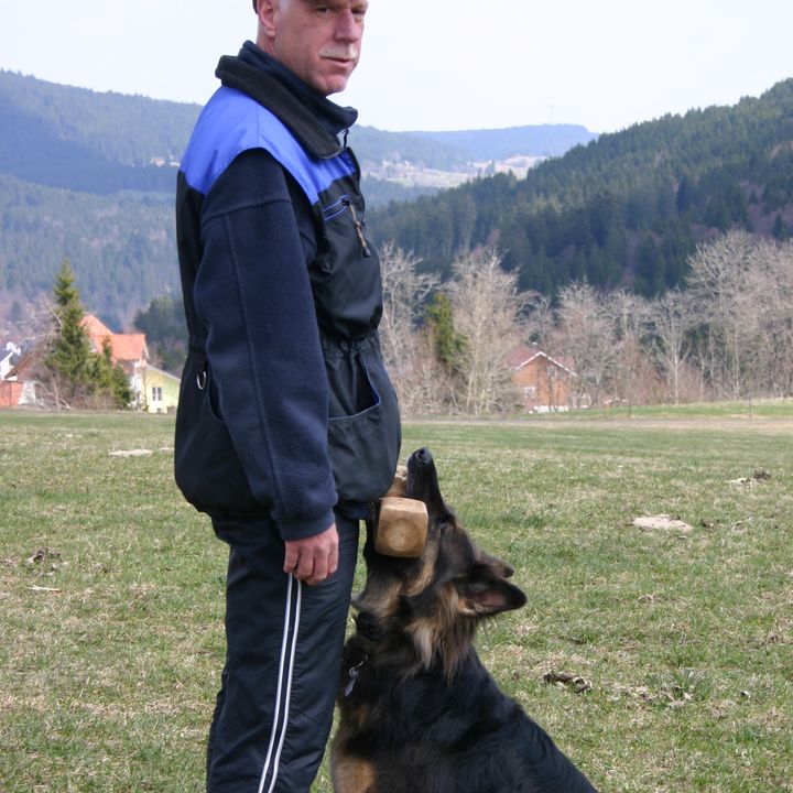 Mann steht auf einer Wiese, neben ihm sitzt ein Schäferhund
