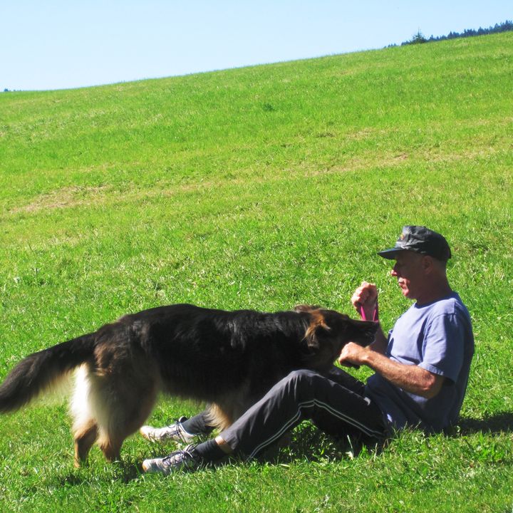 Mann sitzt auf einer Wiese und spielt mit einem Schäferhund