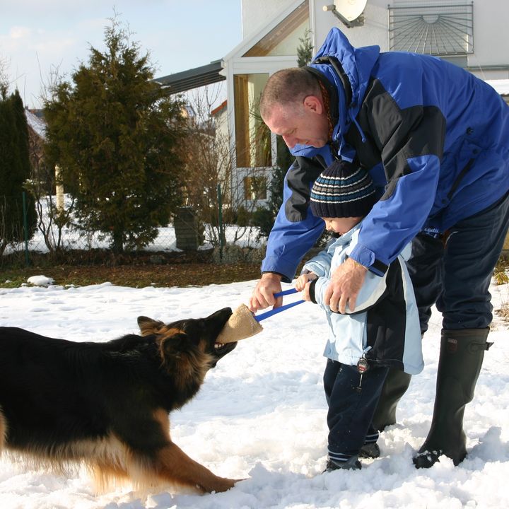 Mann spielt im Schnee mit einem Schäferhund
