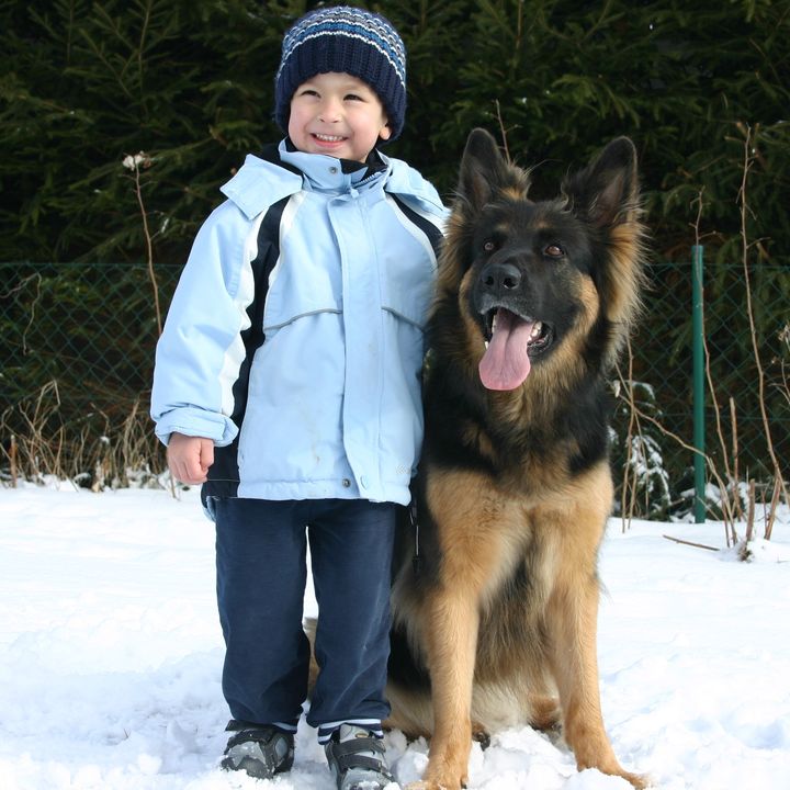 Kind in Winterjacke steht im Schnee neben einem Schäferhund